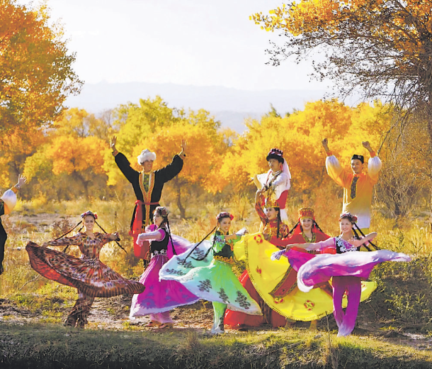 一个森林公园的美丽传说